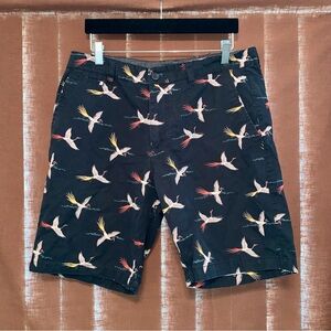 Forever 21 Black Men's Shorts with Colorful Bird Design size 34